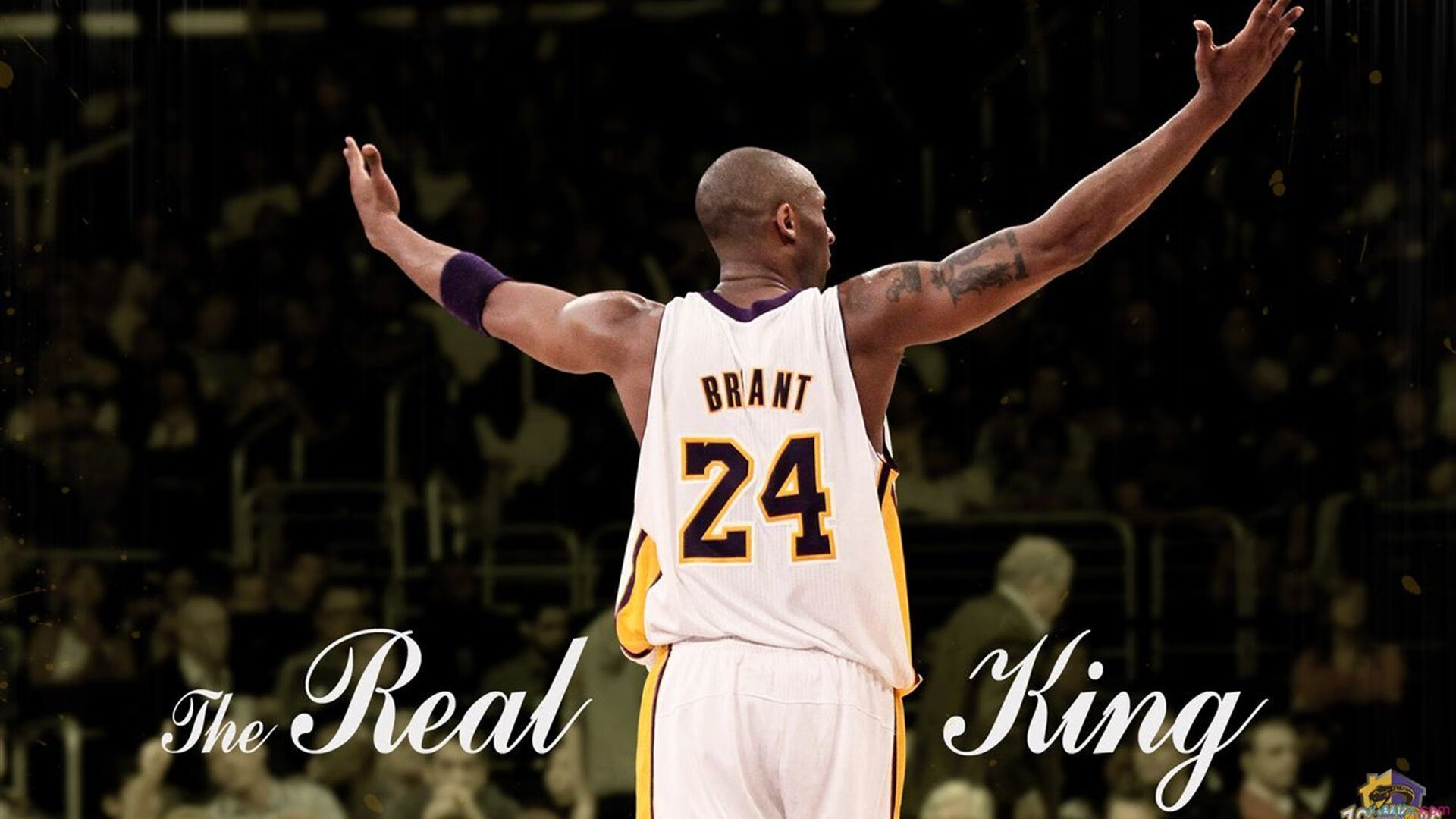 明晨亚冠前瞻:肖若腾伤情更新,洛杉矶湖人冲击不败纪录的简单介绍